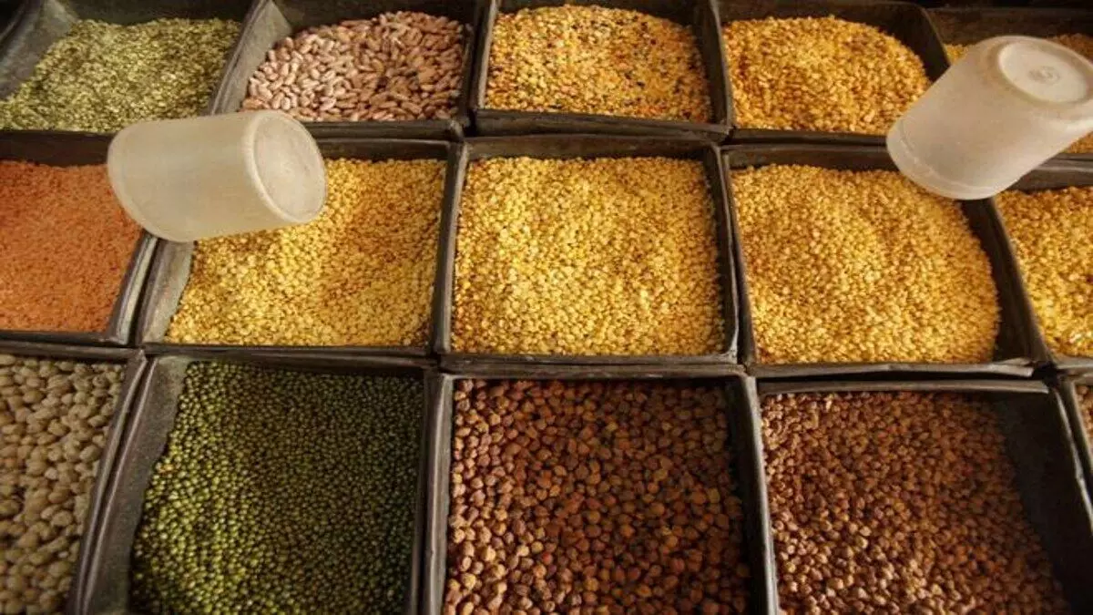 Government imposes stock limit for all pulses except moong till October 31