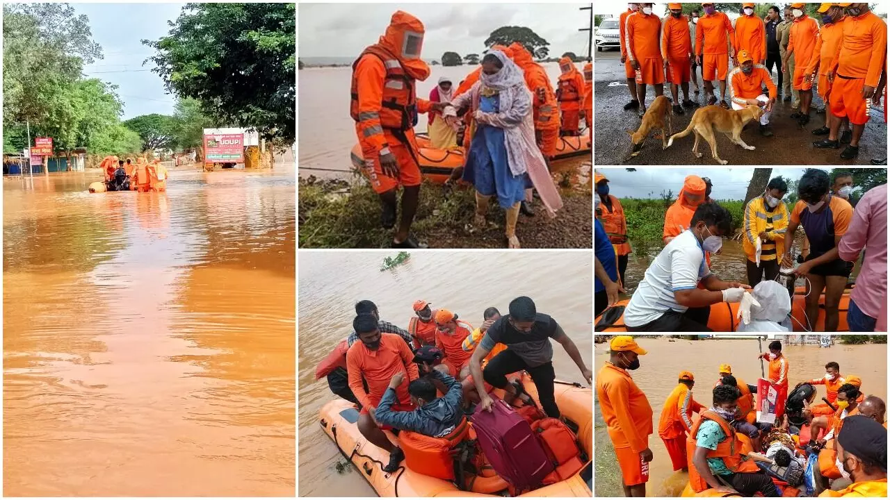 6 BN NDRF Vadodara moved 313 people, including an elderly woman, man with paralysis and a dog, to safety in flood hit Maharashtra