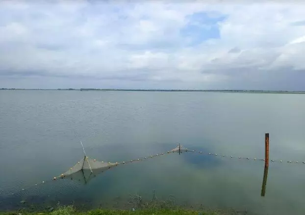 Wadhwana lake in Dabhoi taluka filled near danger level mark
