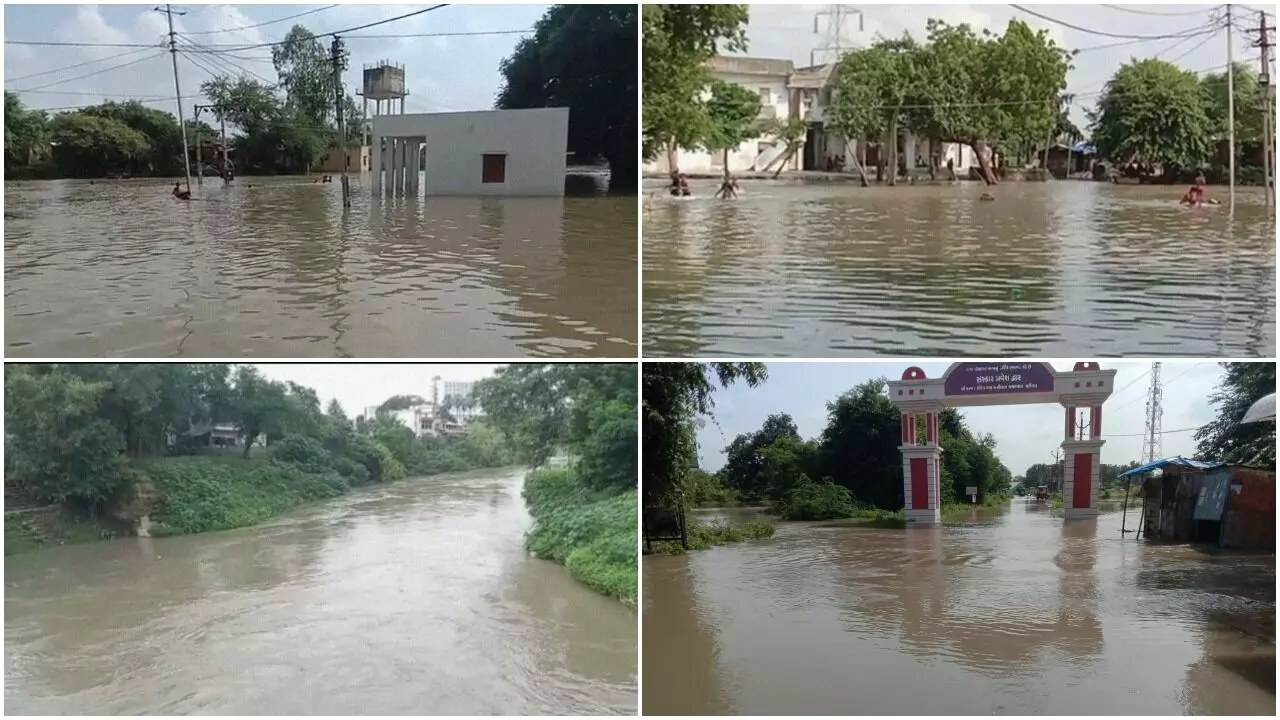 Vishwamitri river level rose due to heavy rains in the upstream region