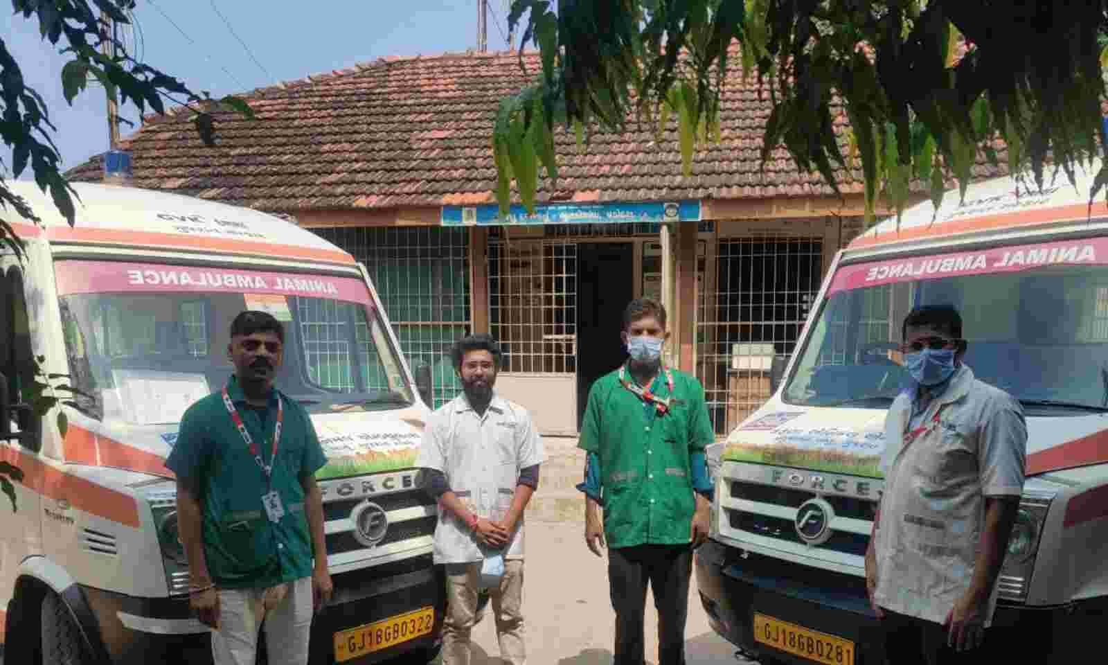 Karuna Ambulance saved the lives of 22,470 animals in last four years in  Vadodara district
