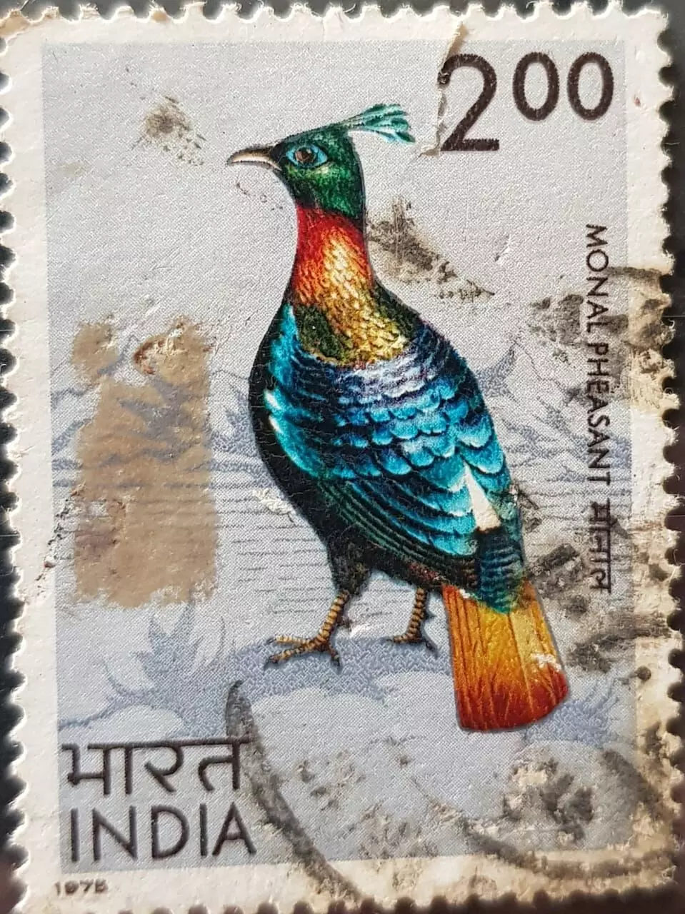 Launching of Parliament of Bird Philatelists FB Page from Vadodara