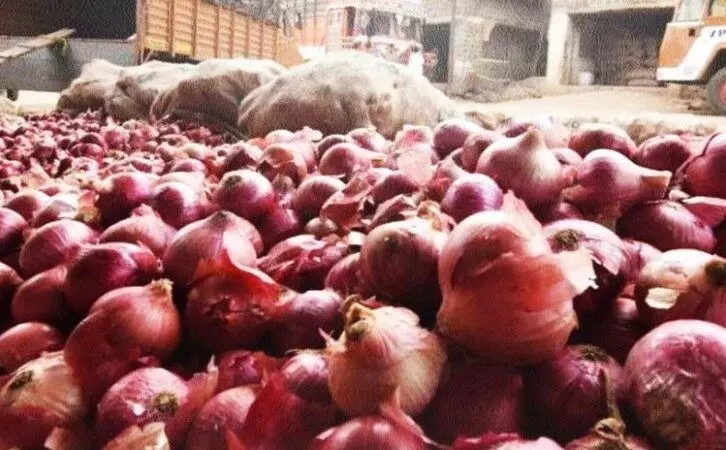 Over 650 people fall ill in US due to disease linked to raw onions