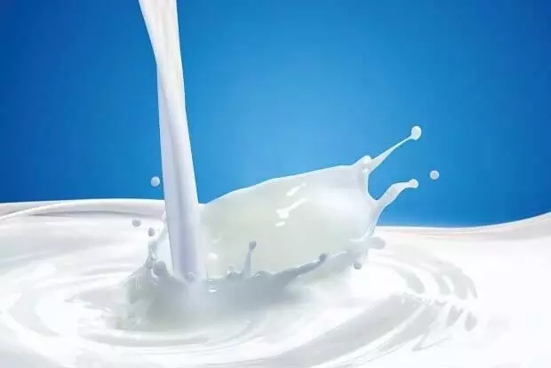National Milk Day 2021: Health Benefits of Drinking Milk with Breakfast