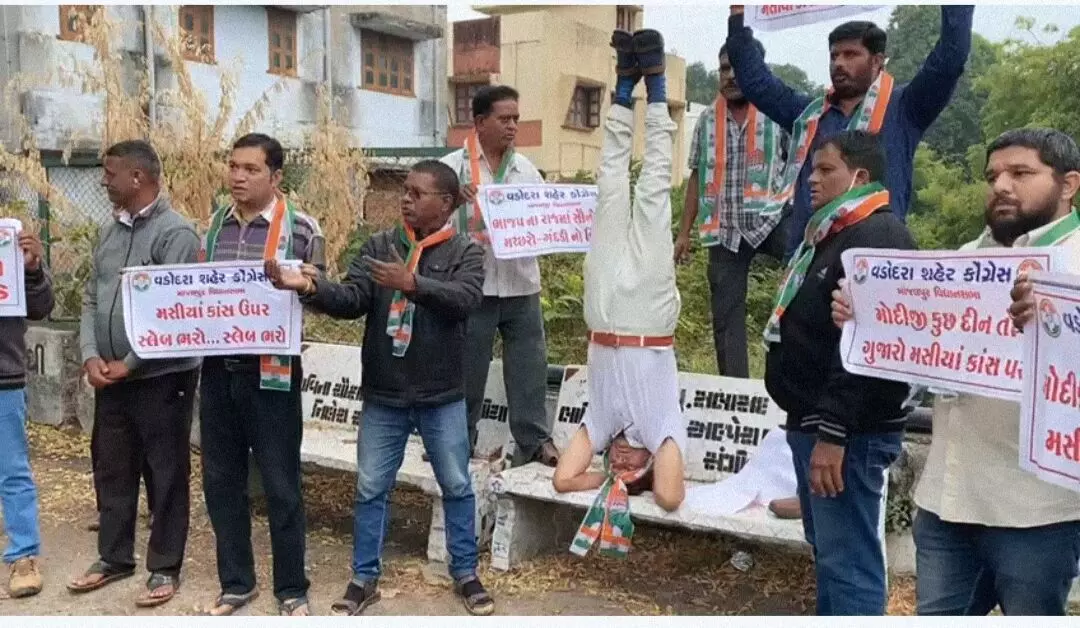 Unique protest by Vadodara Congress in view of mosquito menace at Masiya Storm water drain passing from Lalbaug