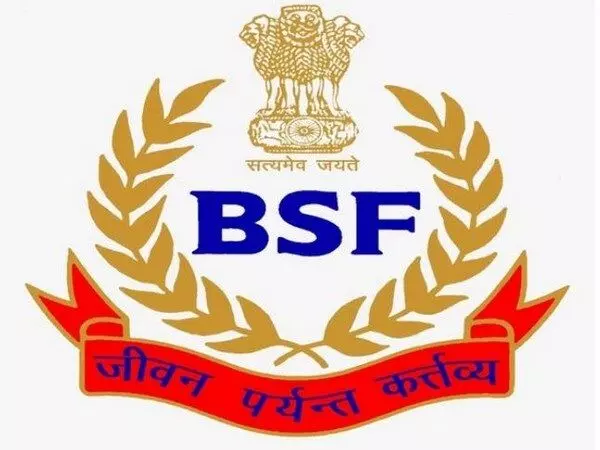 BSF finds 82 drivers with fake licences plying trucks across Indo-Bangla border