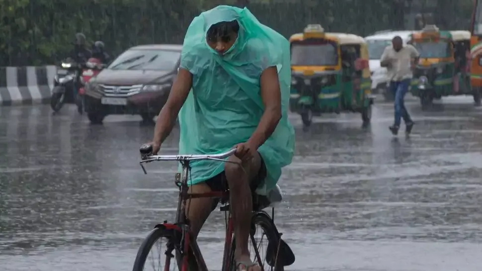 With 88.2 mm of rain, Delhi had its heaviest rain in January since 1901