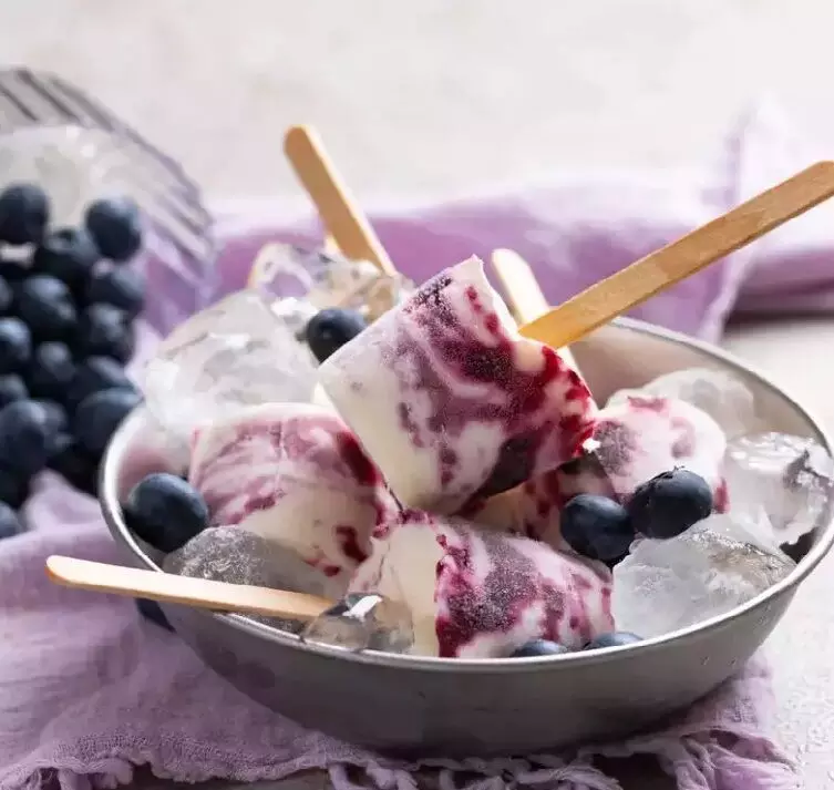 Blueberry Kulfi recipe: This creamy, sweet and flavourful kulfi is a treat for dessert lovers