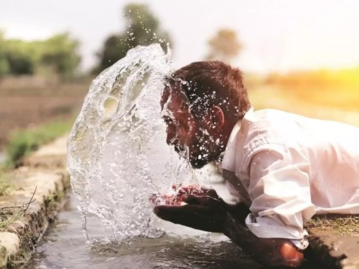 Heatwave to persist in these states over next few days, says IMD
