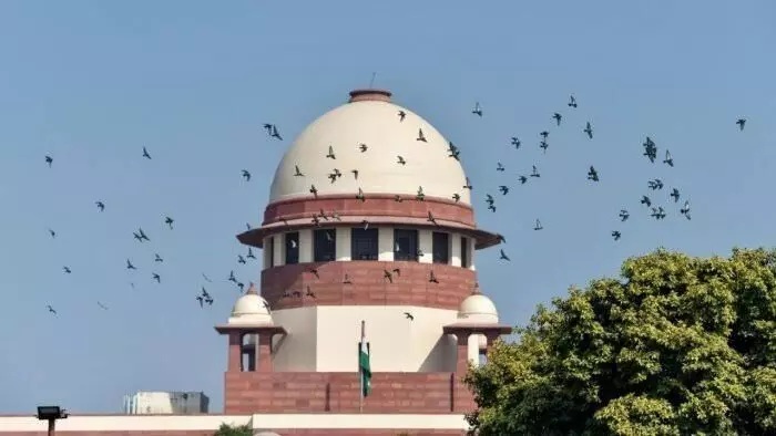 No individual can be forced to get vaccinated, govt policy not unreasonable: SC