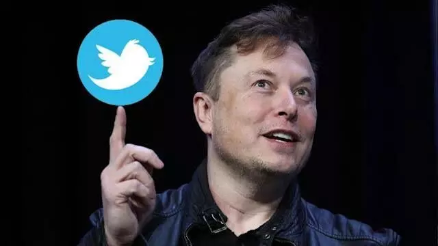 Elon Musk could serve as Twitter CEO for few months: Reports