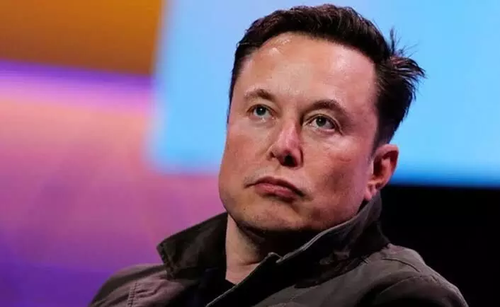 Elon Musk says Twitter deal on hold pending details of spam and fake accounts
