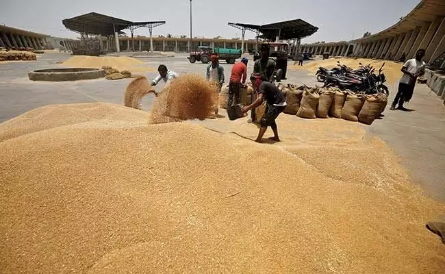 UAE To suspend exports of Indian wheat for 4 months: Report