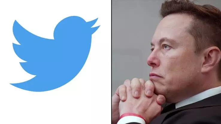 Twitter stocks plunge amid legal fight with Musk over acquisition