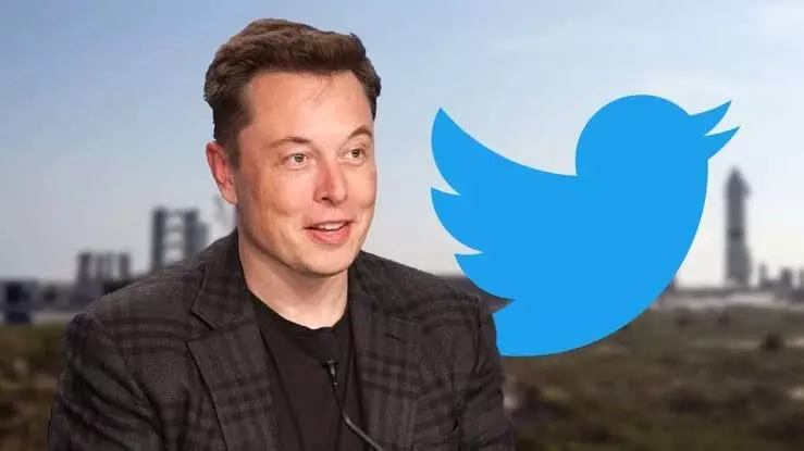 Elon Musk faces new trouble: Twitter sued for mass layoffs