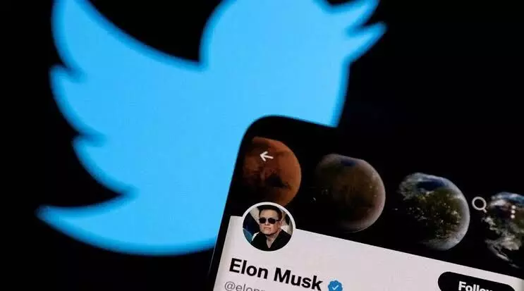 Twitter twist: Musk holds off relaunch of blue check subscription