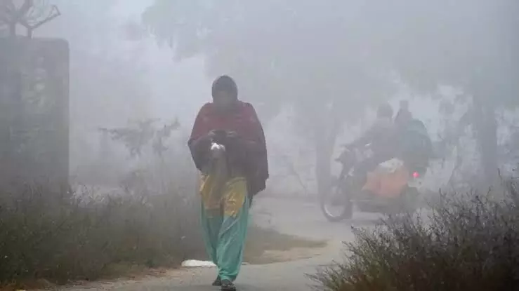 Coldwave condition over northwest India likely to abate from Jan 19 says IMD