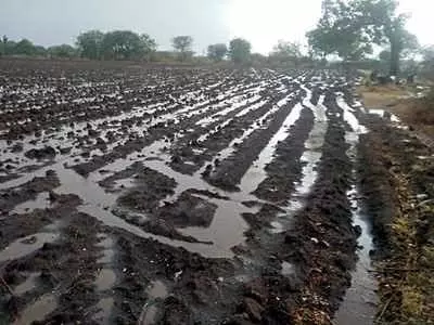 Unseasonal rainfall in Rajkot, Amreli districts