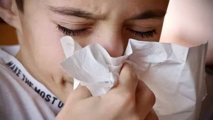 H3N2 Virus Outbreak in India: Influenza a hits several states, check symptoms and treatment