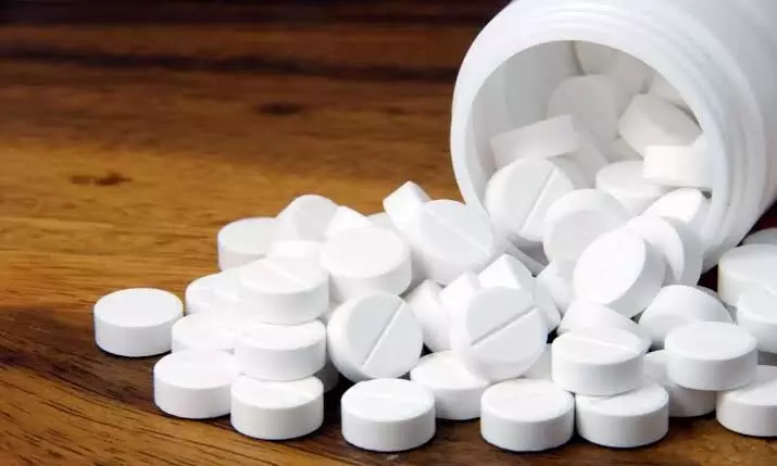 Pharma firm IOL gets European regulators nod for paracetamol exports