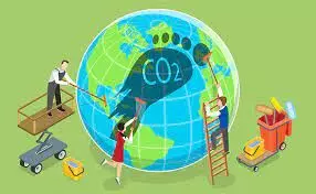 How Polypack Packaging Can Help Reduce Your Companys Carbon Footprint