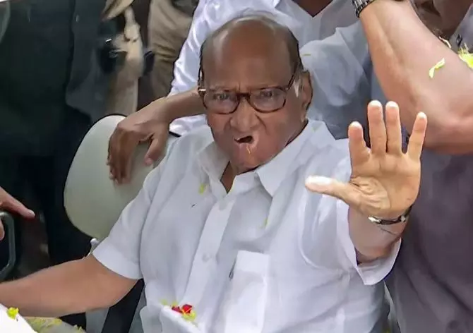 Maharashtra: Sharad Pawar issues whip to all MLAs to attend todays meeting