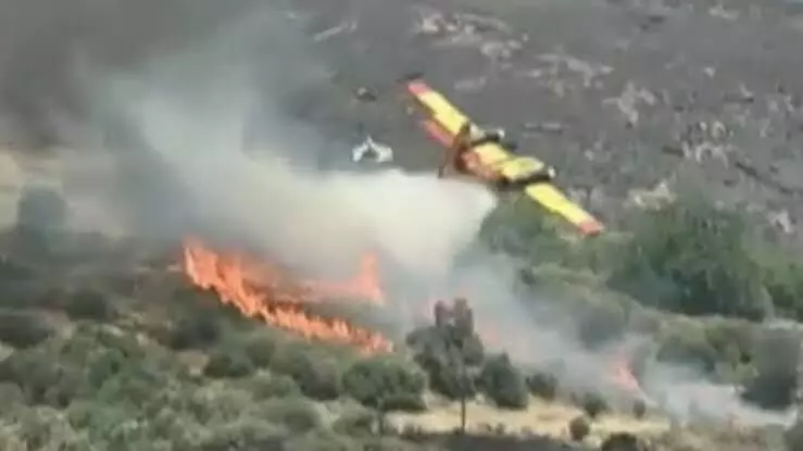 Plane crashes in Greece while fighting wildfire, both pilots dead