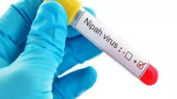 Nipah virus suspected behind ‘unnatural’ deaths in India