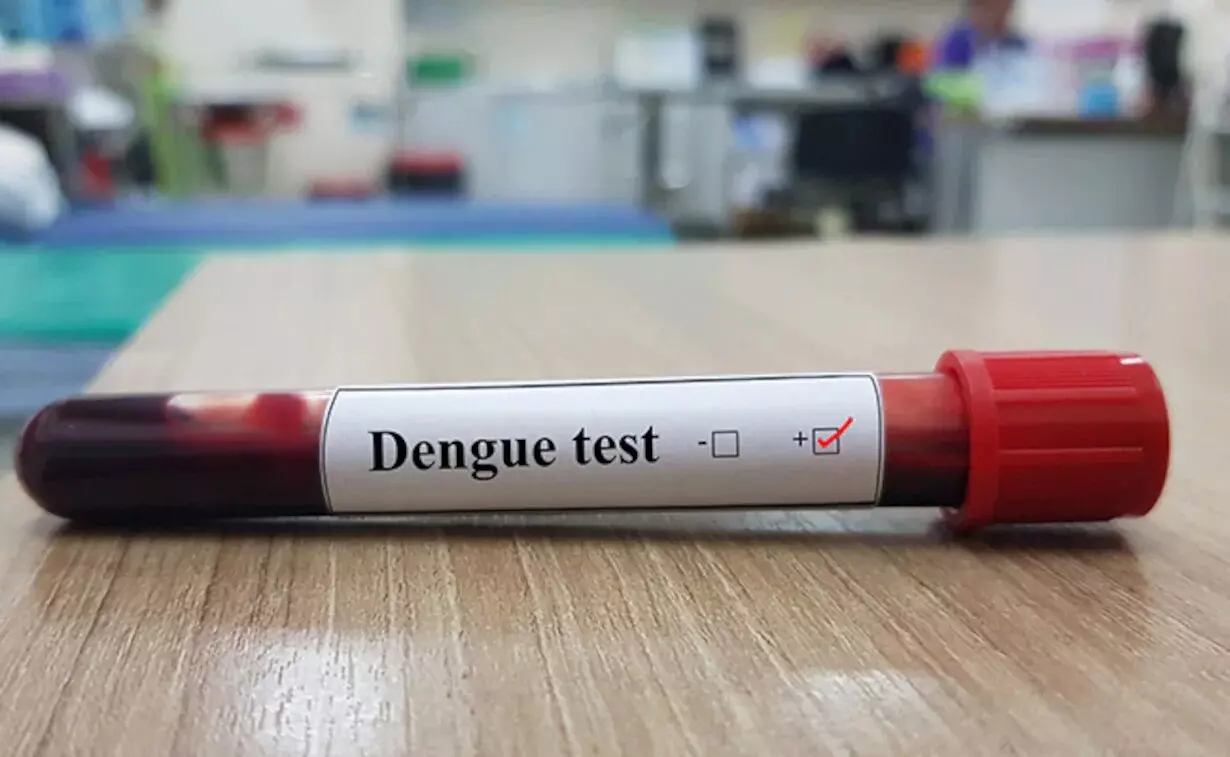 Bangladesh records the worst outbreak as dengue cases cross 300,000 mark