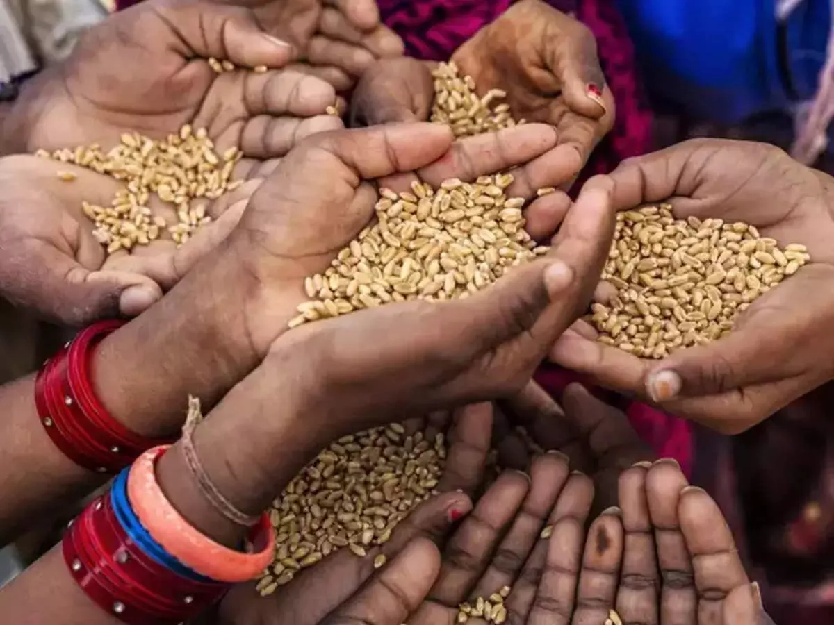 Government extends PMGKAY for another five years, providing free food grains to poor people every month