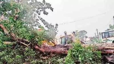 Severe Cyclonic Storm Michaung makes landfall between Nellore and Machilipatnam in Andhra Pradesh