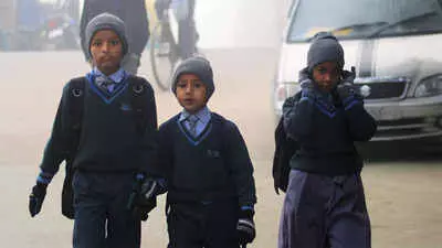 Delhi Schools reopen today with revised timings amidst cold wave and fog