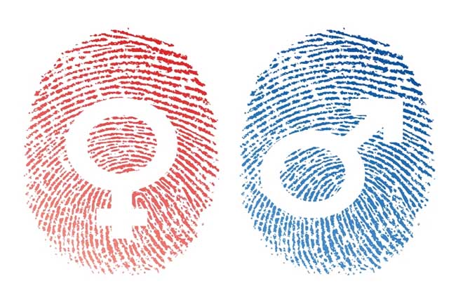 New method can identify gender from a fingerprint