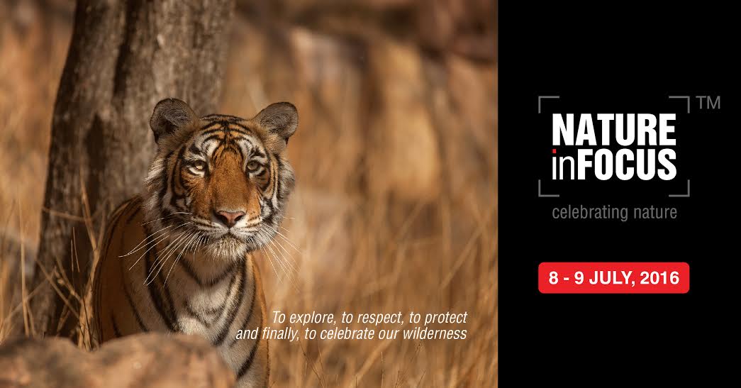 One-on-One interview with Rohit Varma on Wildlife Photography Festival