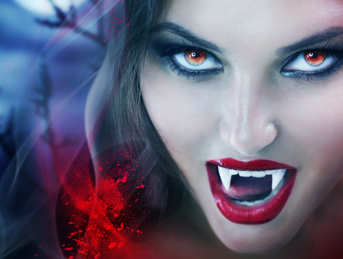Vampires got it right, say scientists studying youthful blood