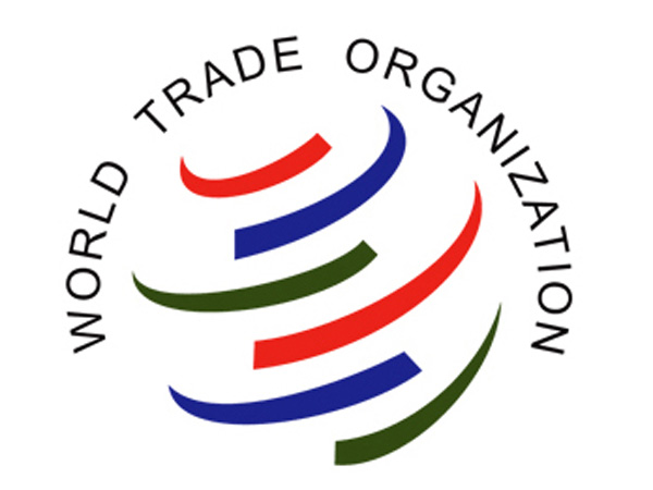 India complains to WTO against US on renewable energy