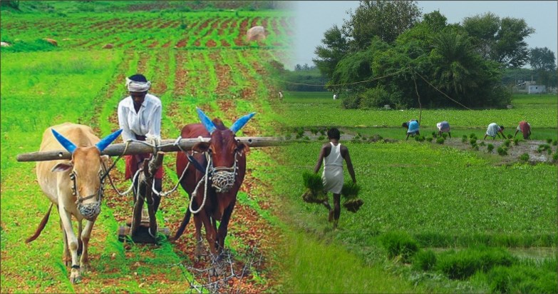Government starts programmes to connect farmers to lab