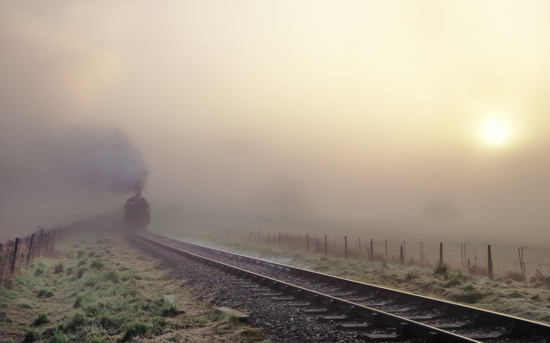 82 trains delayed, 16 cancelled due to fog
