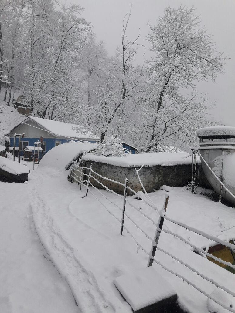Snowfall brings Kashmir Valley to standstill
