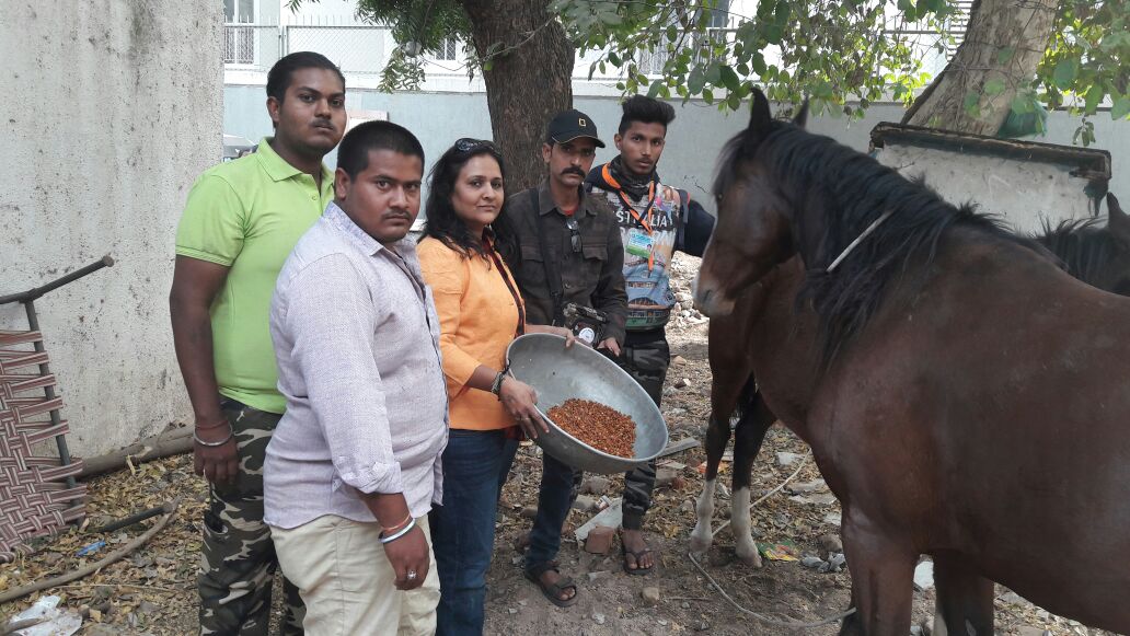 Mare and her kid rescued in Vadodara