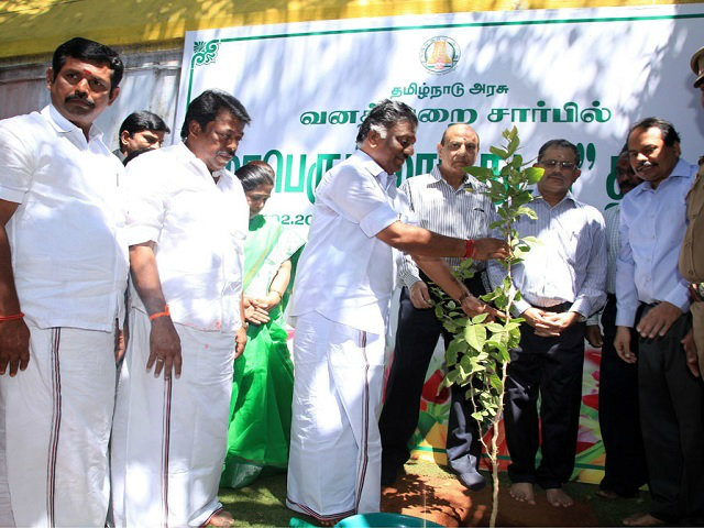 Palaniswami plants sapling to mark Jayalalithaa birthday