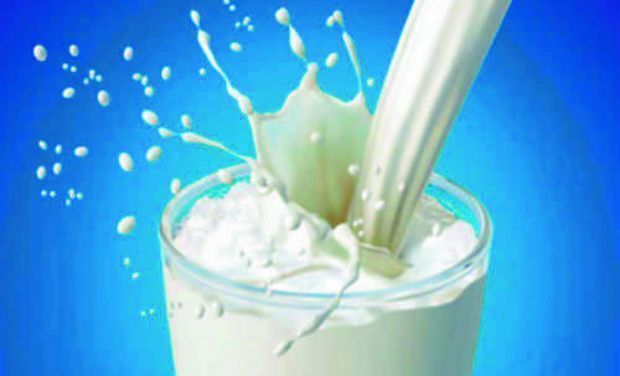 Milk prices in Kerala to go up by Rs 4 a litre