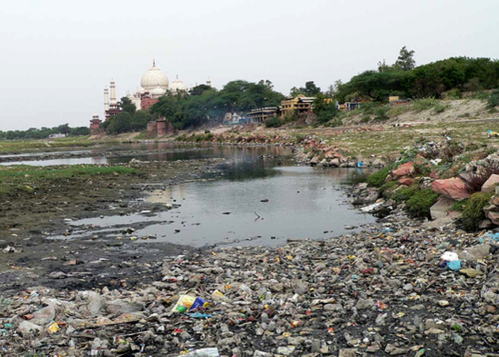 Polluted Yamuna: NGT calls compliance details from government