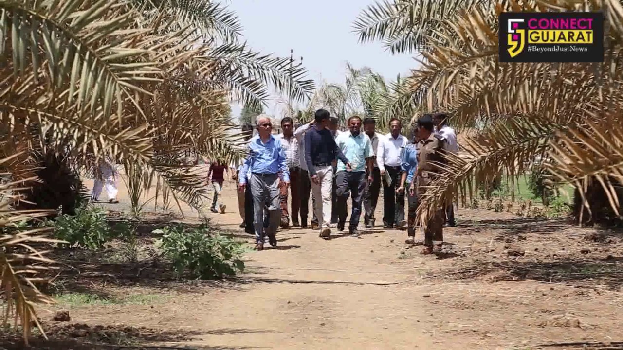 Ambassador of Tunisia visits Date farm in Jitali village of Ankleshwar