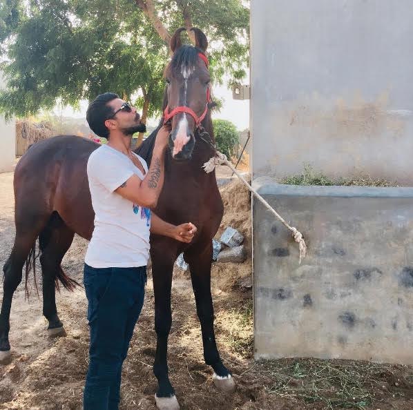 Sir jadeja relaxing with his horse for champions trophy