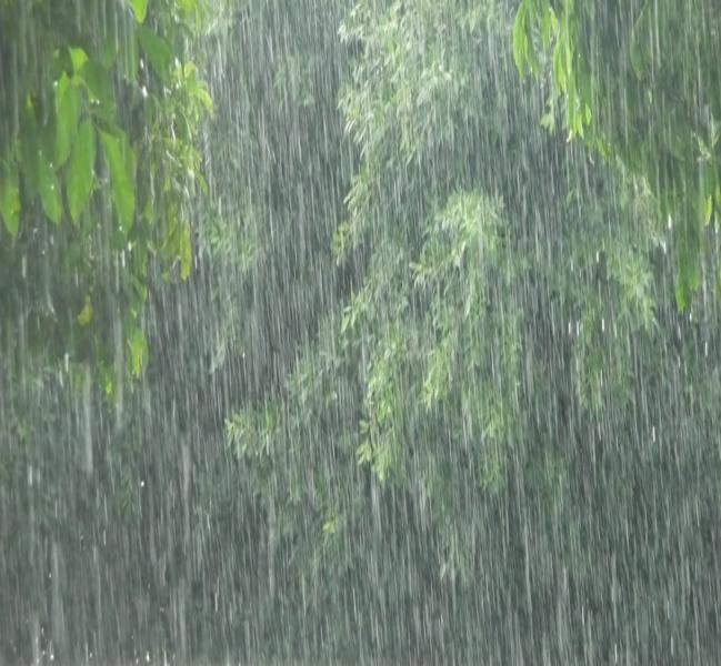 Rainfall to increase in tropical regions: NASA