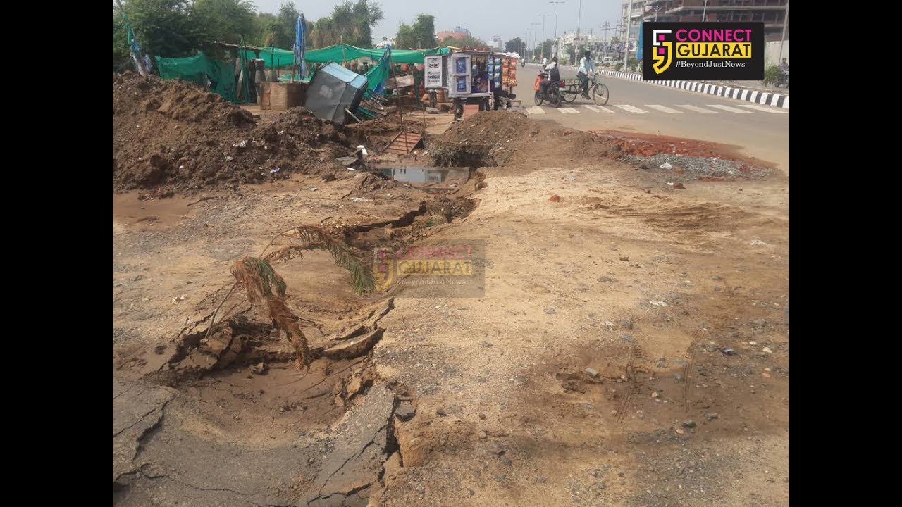 Heavy rains caused waterlogging and uprooted trees in Vadodara