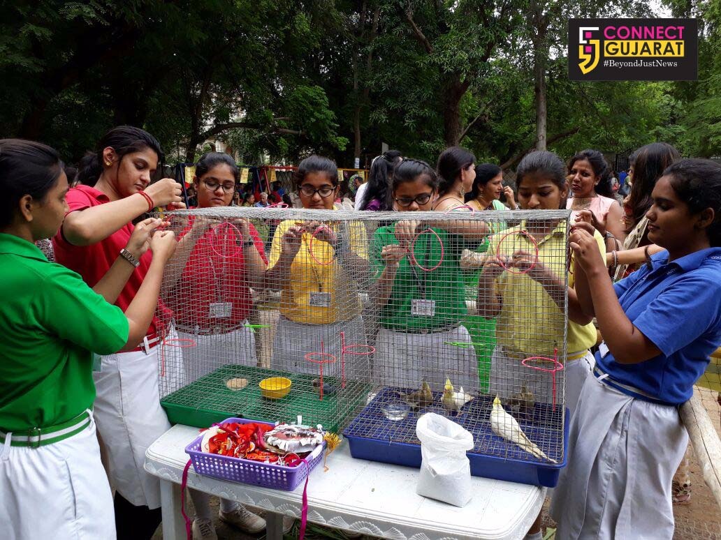 Students of PAGS celebrated Rakshabandhan in a unique way