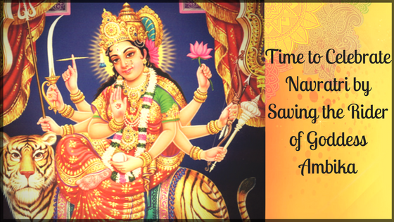 Time to Celebrate Navratri by Saving the Rider of Goddess Ambika