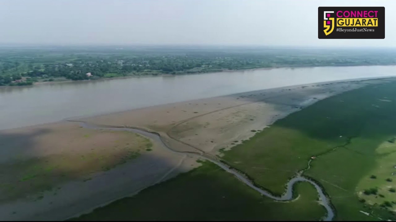 The river Narmada in Bharuch is near extinction